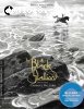 Black Stallion, The (The Criterion Collection) [Blu-ray]