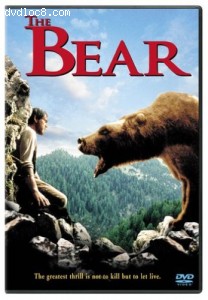 Bear, The Cover
