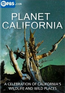 Planet California Cover