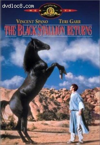 Black Stallion Returns, The Cover