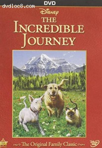 Incredible Journey, The Cover