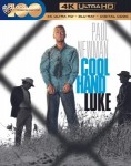 Cover Image for 'Cool Hand Luke [4K Ultra HD + Blu-ray + Digital]'