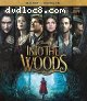 Into the Woods (Blu-Ray + Digital)