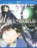 Accel World: Set 02 [Blu-ray]