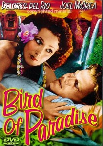 Bird Of Paradise (Alpha)