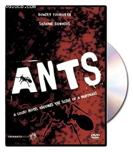 Ants Cover