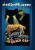 Black Cat, The (1934)