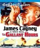 Gallant Hours, The [Blu-Ray]