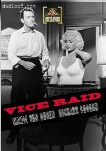 Vice Raid Cover