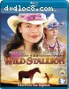 Wild Stallion, The [Blu-Ray + DVD]