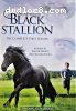 Adventures of Black Stallion: The Complete First Season, The