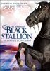 Adventures of Black Stallion: The Complete Second Season, The