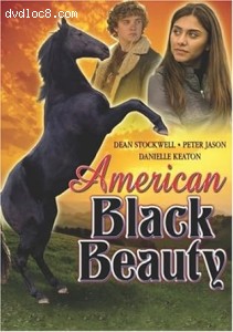 American Black Beauty Cover
