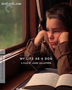My Life As A Dog (The Criterion Collection) [Blu-Ray] Cover