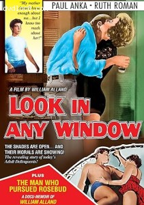 Look in Any Window (Smash Vision) Cover