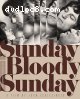 Sunday Bloody Sunday (The Criterion Collection) [Blu-Ray]