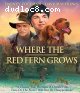 Where The Red Fern Grows [Blu-Ray]