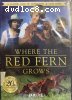 Where the Red Fern Grows (Feature Films for Families)