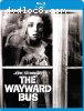 Wayward Bus, The [Blu-Ray]