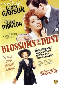 Blossoms in the Dust Cover