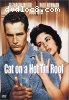 Cat on a Hot Tin Roof