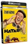 Cover Image for 'Hatari! [4K Ultra HD + Blu-ray]'