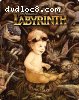 Labyrinth (Wal-Mart Exclusive SteelBook) [4K Ultra HD + Blu-ray]