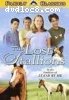 Lost Stallions, The