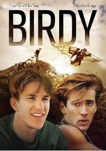 Birdy Cover
