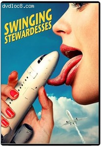 Swingin' Stewardesses Cover