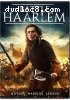 Battle of Haarlem, The