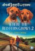 Where the Red Fern Grows 2: The Homecoming