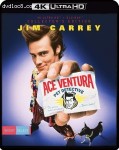 Cover Image for 'Ace Ventura: Pet Detective (Collector's Edition) [4K Ultra HD + Blu-ray]'