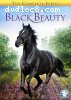 Adventures of Black Beauty: The Complete Series, The