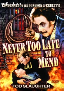 Never Too Late to Mend Cover