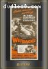 Wetbacks