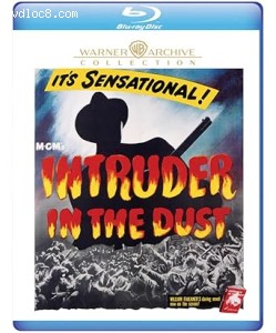 Intruder in the Dust [Blu-Ray] Cover