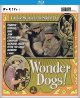 Wonder Dogs! [Blu-Ray]