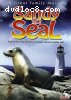 Sandy the Seal