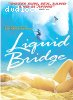 Liquid Bridge