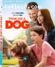 Think Like a Dog [Blu-Ray + Digital]