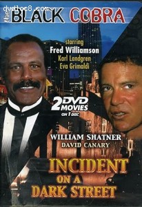 Black Cobra / Incident on a Dark Street Cover