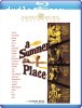 Summer Place, A (Warner Archive Collection) [Blu-ray]