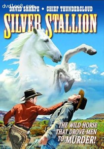 Silver Stallion Cover