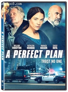 Perfect Plan, A Cover