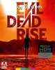 Evil Dead Rise (Limited Edition) [4K Ultra HD]