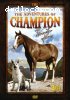 Adventures of Champion the Wonder Horse, The