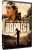 Borrego