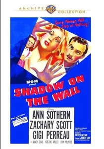 Shadow on the Wall Cover