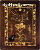 Practical Magic (SteelBook / Limited Edition) [4K Ultra HD + Digital 4K]